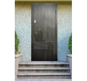 Двері Ф1 Каліфорнія метал 2050*860 ліві дуб шато